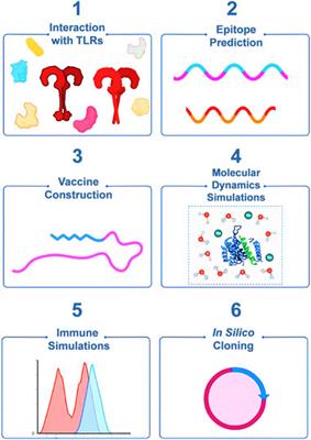 Immunoinformatics and reverse vaccinology approach in designing a novel highly immunogenic multivalent peptide-based vaccine against the human monkeypox virus